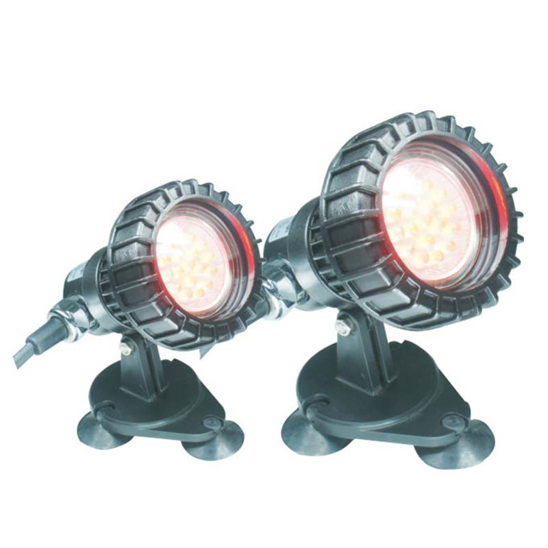 Жер асты тоғанының үстіндегі балық